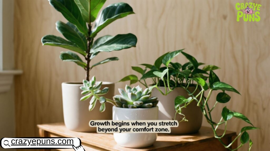 Motivational Quotes About Plants for Growth