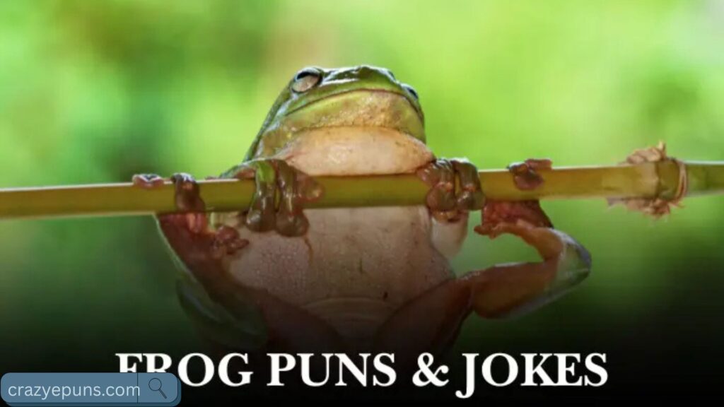 Funny Frog Dad Jokes