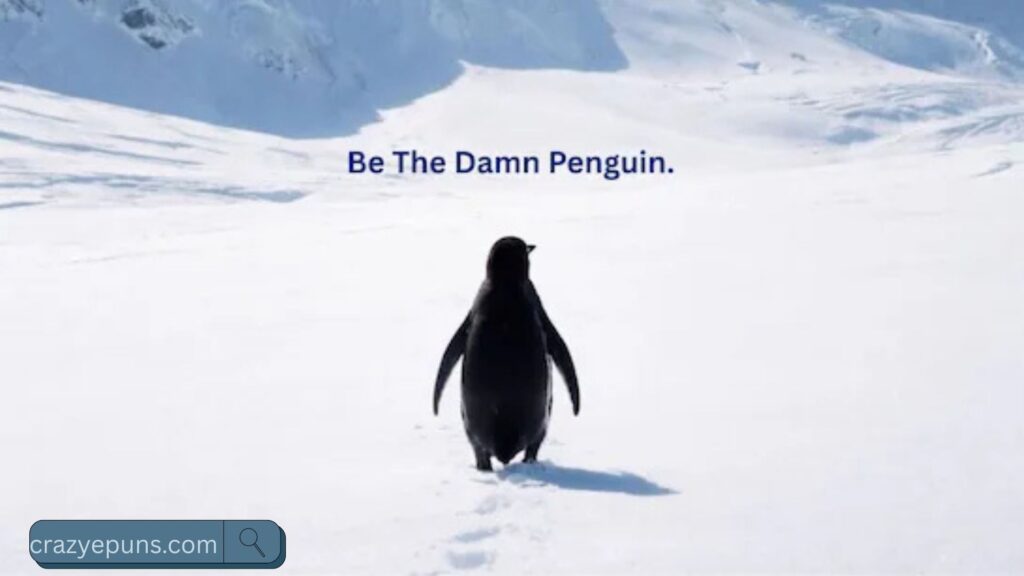 Penguin Social Media Captions 