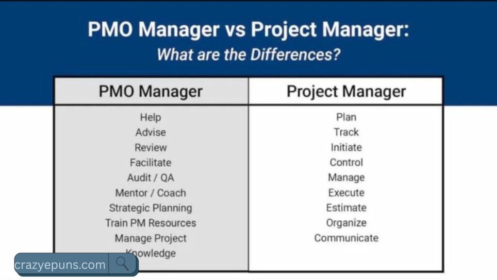 PMO vs Project Manager