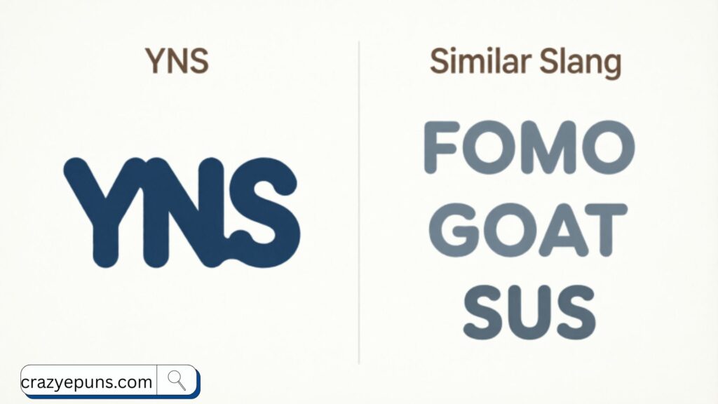 YNS vs. Similar Slang