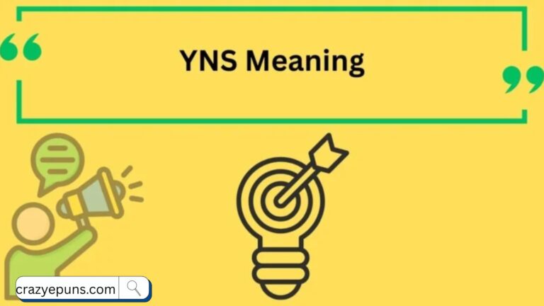 YNS Meaning Slang